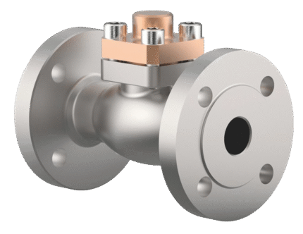 CRYOGENIC CHECK VALVE TYPE 05418 ON DIN PN40 FLANGES
